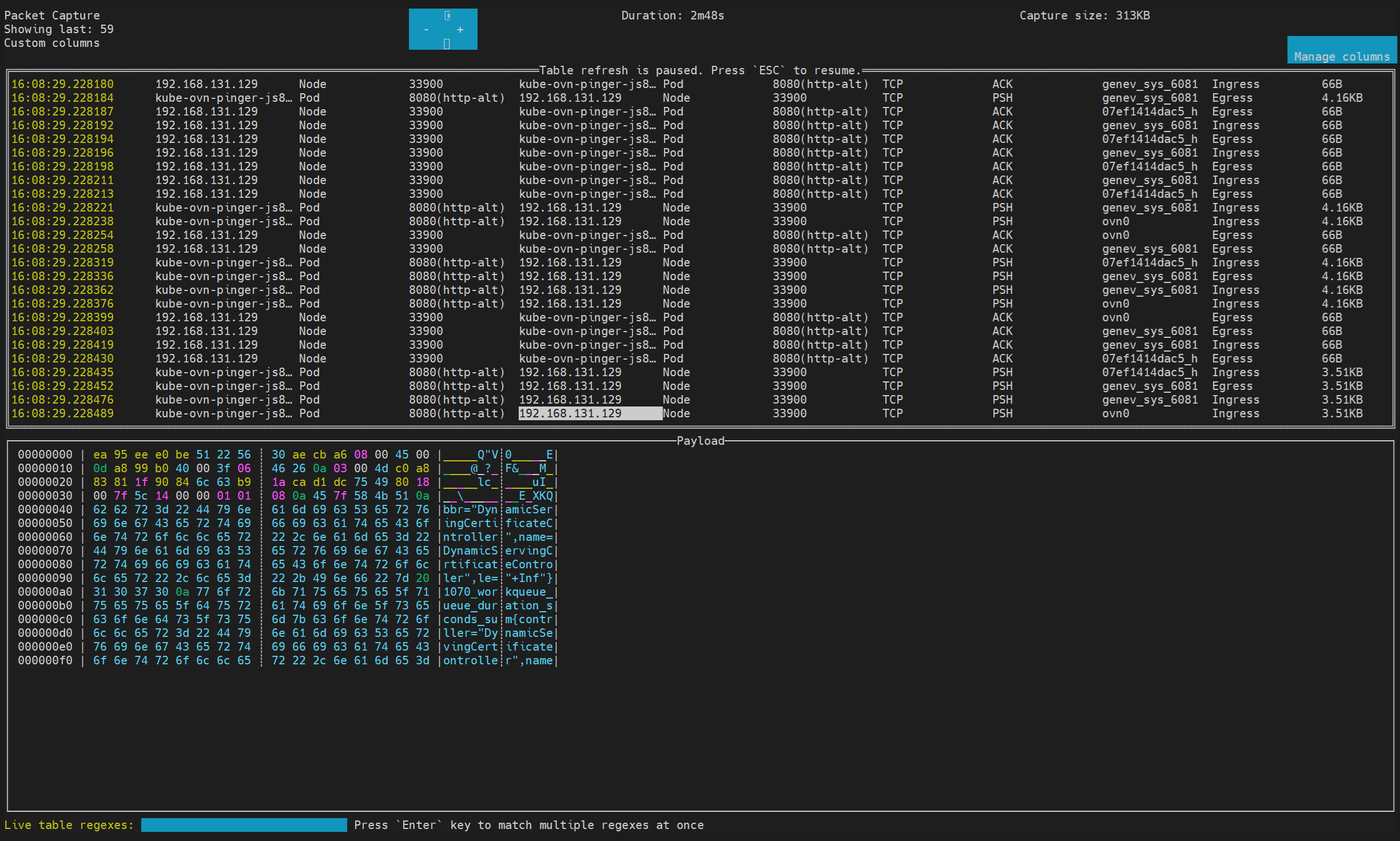 Packet Capture TUI